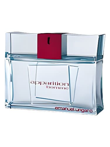 Apparition Homme