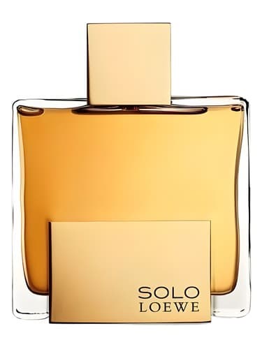 Solo Loewe Absoluto