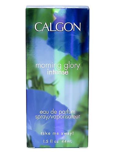 Morning Glory