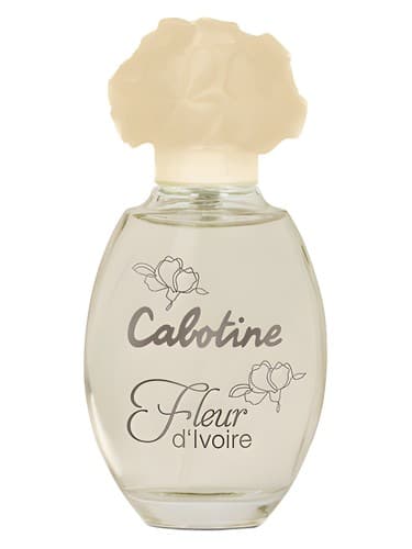 Cabotine Fleur D Ivoire
