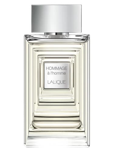 Hommage A L Homme Eau De Toilette