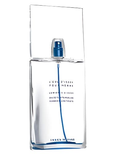 L Eau D Issey Pour Homme Lumieres Dissey