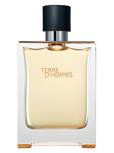 Terre D Hermes
