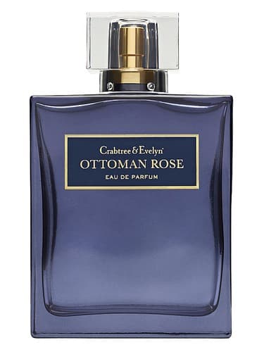 Ottoman Rose