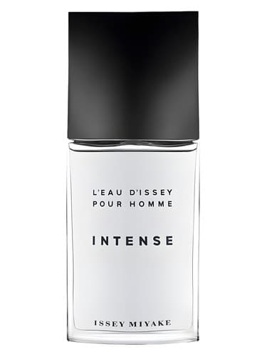 L Eau D Issey Pour Homme Intense