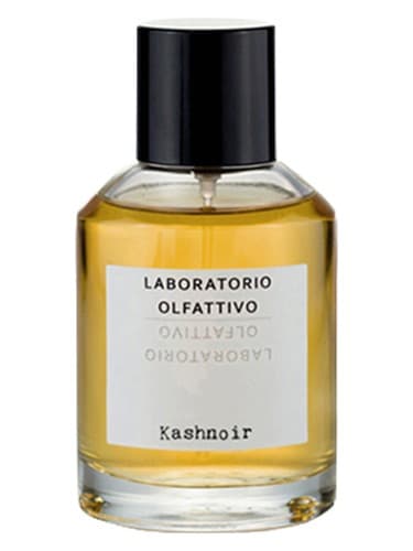 Kashnoir