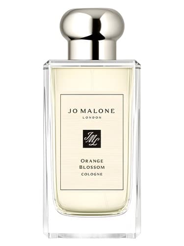 Orange Blossom