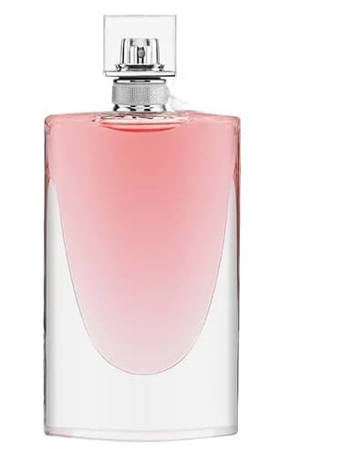 La Vie Est Belle L Eau De Toilette