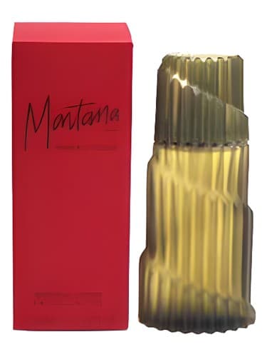 Montana Parfum D Homme