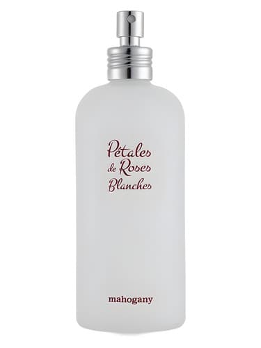 Petales De Roses Blanches