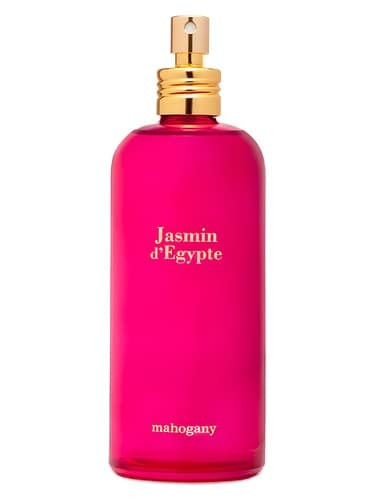 Jasmin D Egypte