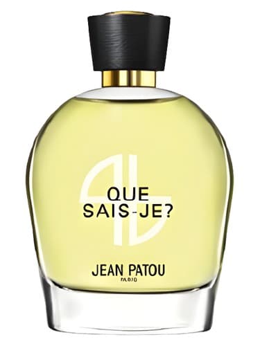 Collection Heritage Que Sais Je