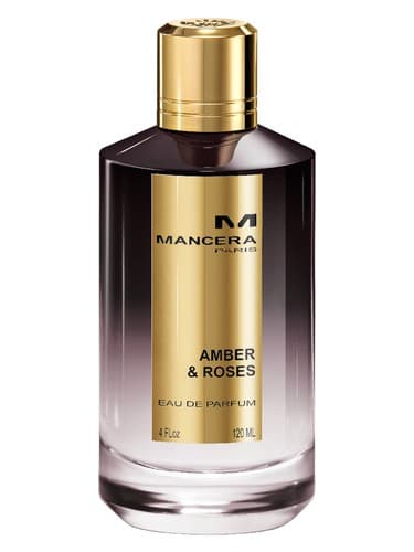 Amber Roses