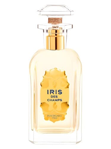 Iris Des Champs
