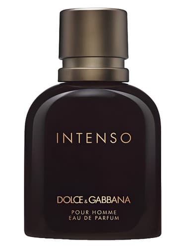 Dolce Gabbana Pour Homme Intenso
