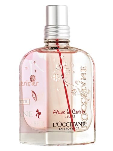 Fleurs De Cerisier L Eau