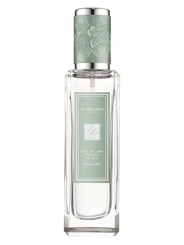 Rock The Ages Lily Of The Valley Ivy