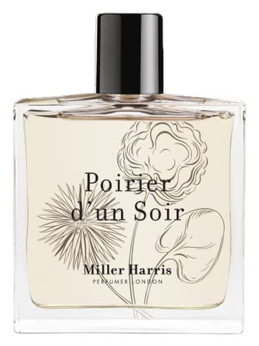Poirier D Un Soir