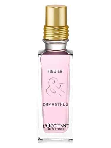 Figuier Osmanthus