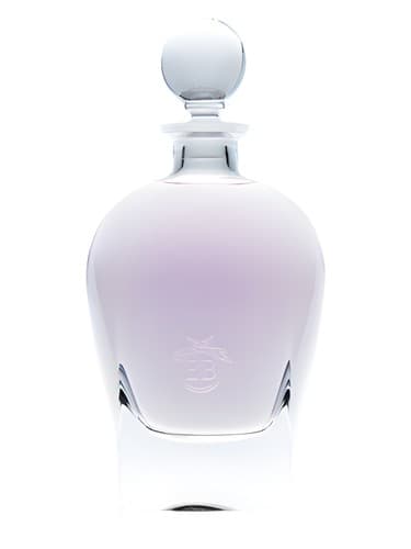 Celestial Jasmine