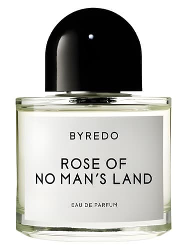 Rose Of No Man S Land