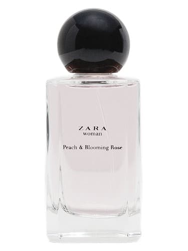 Zara Woman Peach Blooming Rose