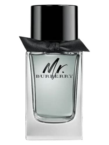 Mr Burberry