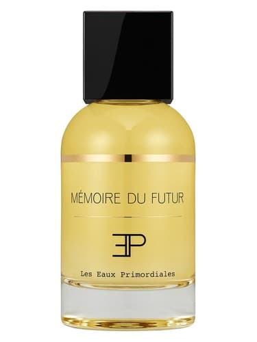 Memoire Du Futur