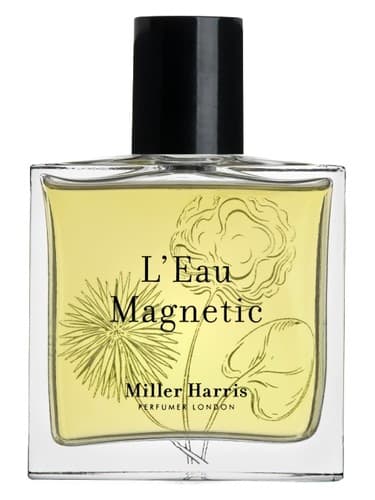 L Eau Magnetic