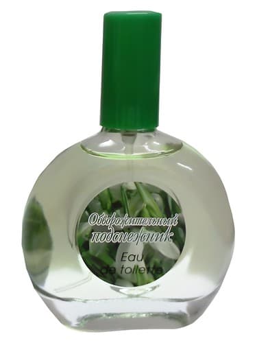 Charming Snowdrop