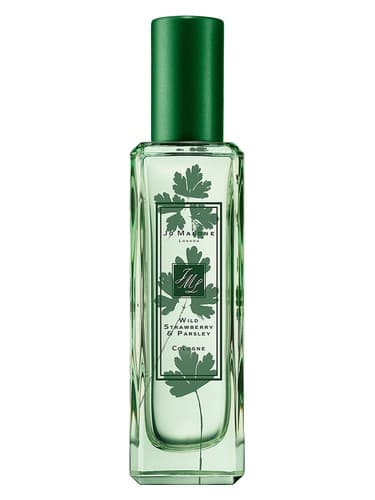 Wild Strawberry Parsley