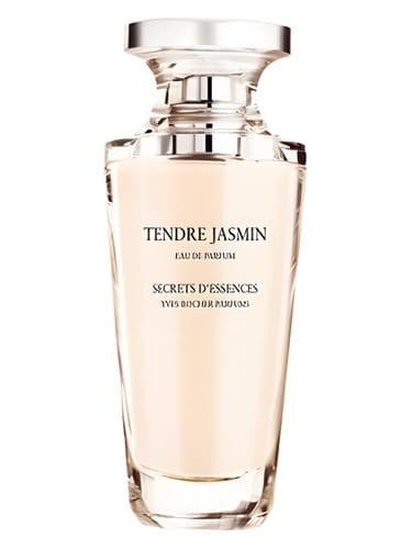 Tendre Jasmin