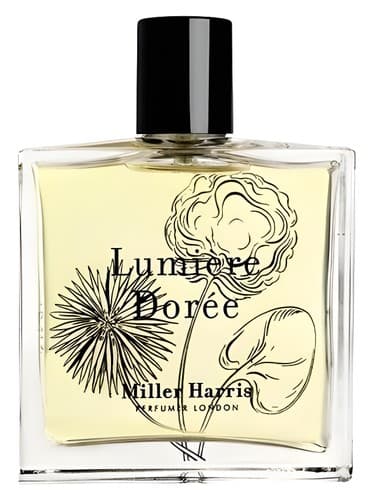 Lumiere Doree