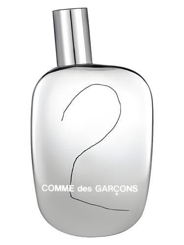 Comme Des Garcons 2