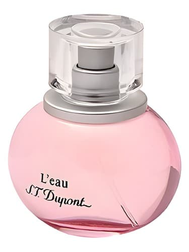 L Eau De S T Dupont Pour Femme
