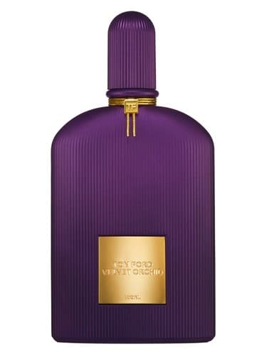 Velvet Orchid Lumiere