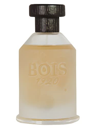 Sutra Ylang
