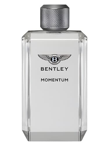 Momentum
