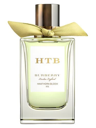 Hawthorn Bloom