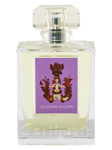 Gelsomini Di Capri 2017