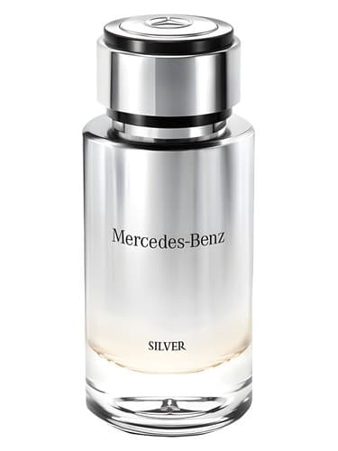 Mercedes Benz Silver