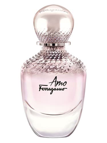 Amo Ferragamo