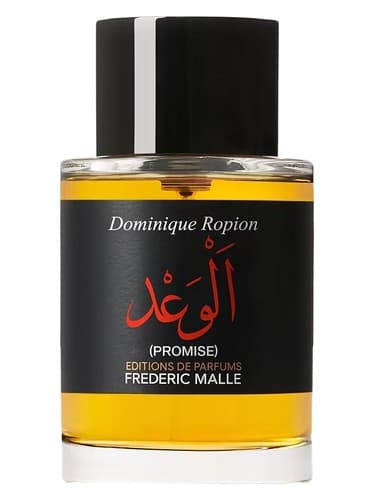 Promise