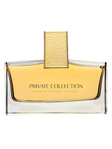 Private Collection Amber Ylang Ylang