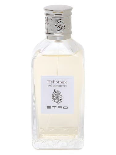 Heliotrope