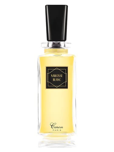 Narcisse Blanc