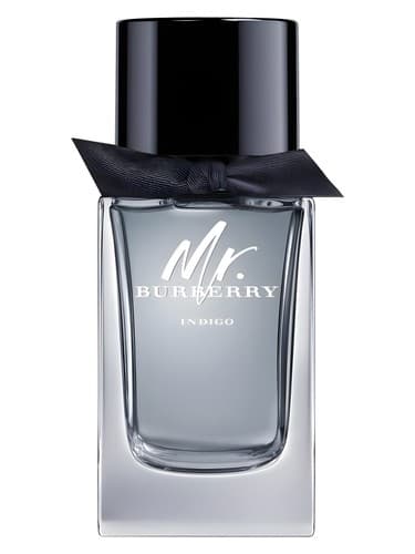 Mr Burberry Indigo