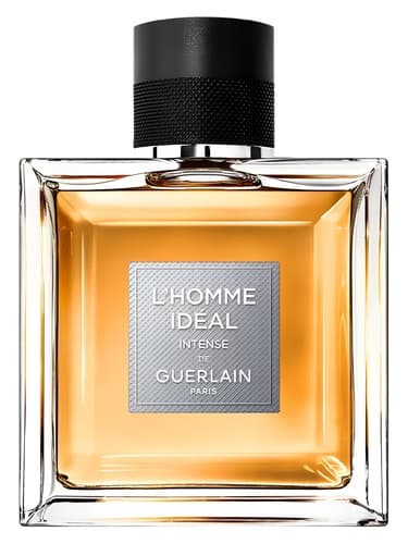 L Homme Ideal L Intense