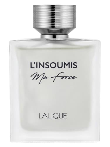 L Insoumis Ma Force