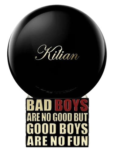 Bad Boys Are No Good But Good Boys Are No Fun
